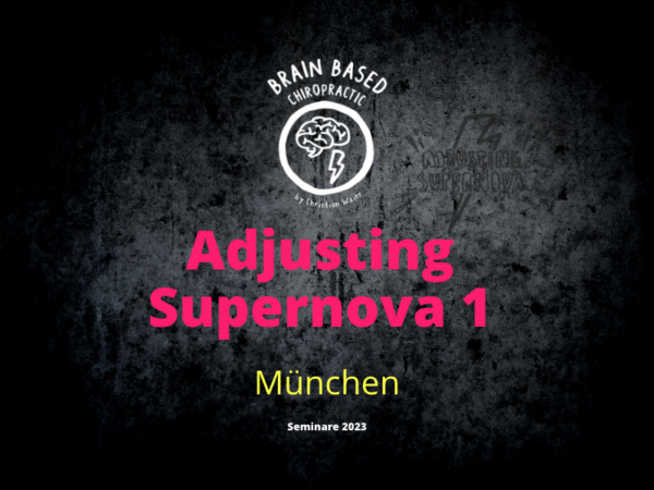 Brain Based Chiropractic_Adjusting Supernova 1 DE