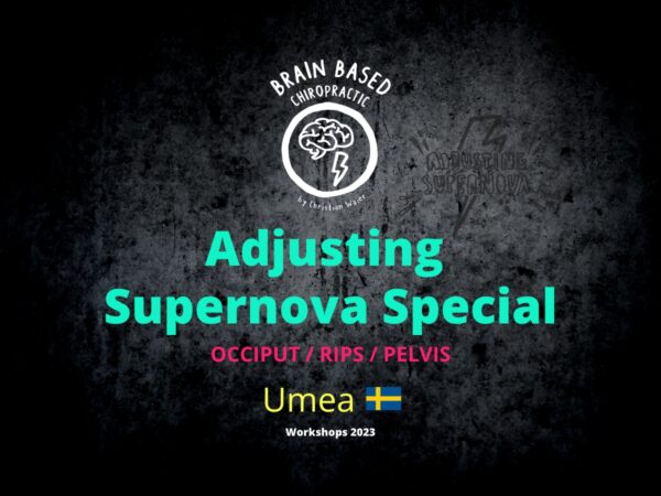 Adjusting Supernova International - Schweden Umea