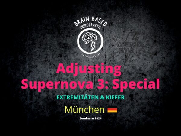 Chiropraktik Ausbildung Christian Waier_Adjusting Supernova 3 - Deutschland Hamburg