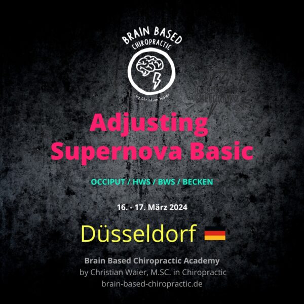 Adjusting Supernova Düsseldorf_Brain Based Chiropractic Academy_Christian Waier