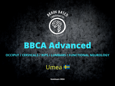 Brain Based Chiropractic Academy Waier_Schweden Umea_Advanced