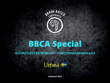 Brain Based Chiropractic Academy Waier_Schweden Umea_Special