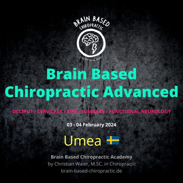 Brain-Based-Chiropraktik_Chiropraktik-Ausbildung-Waier_Schweden - Umea-2024_01