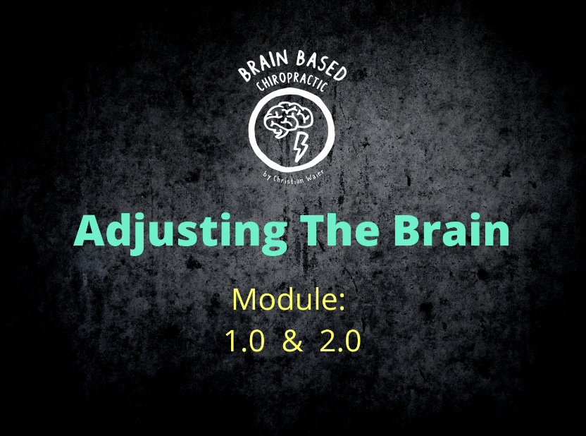 Adjusting the Brain Module 1.0 & 2.0